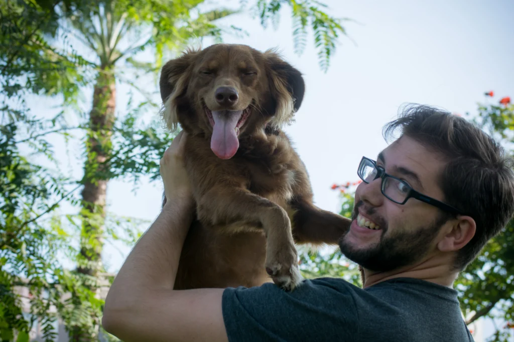 Mascotas