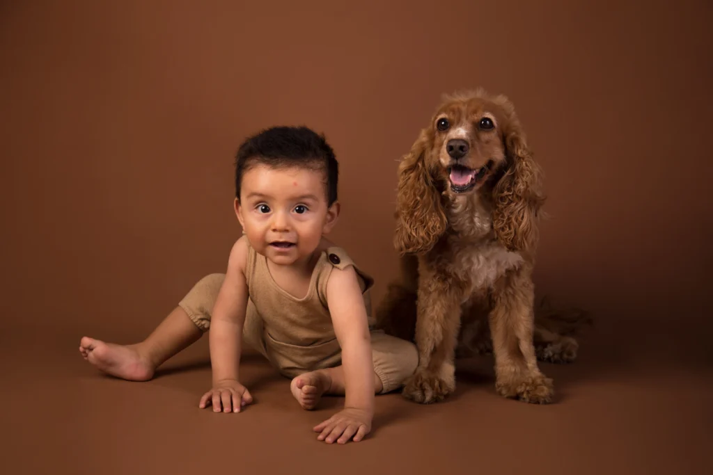 Mascotas